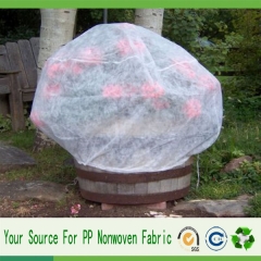 plant protect cover
