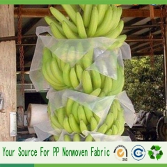 china manufacture banana protect bag
